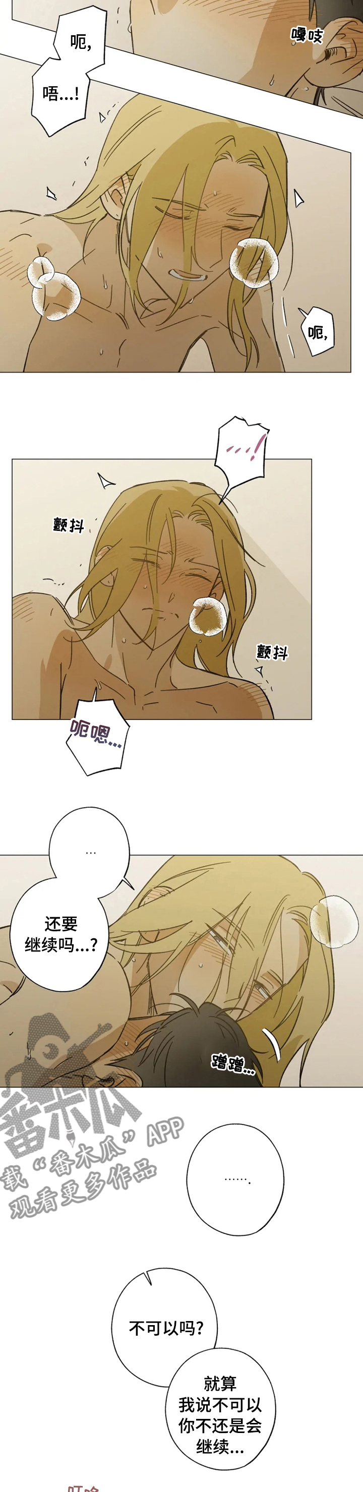 焦点视线漫画,第98章：哪位2图