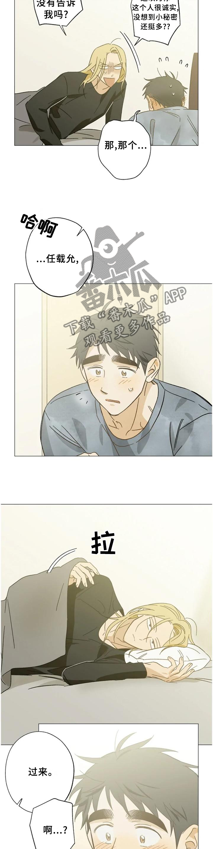 焦点视线漫画,第64章：过来3图