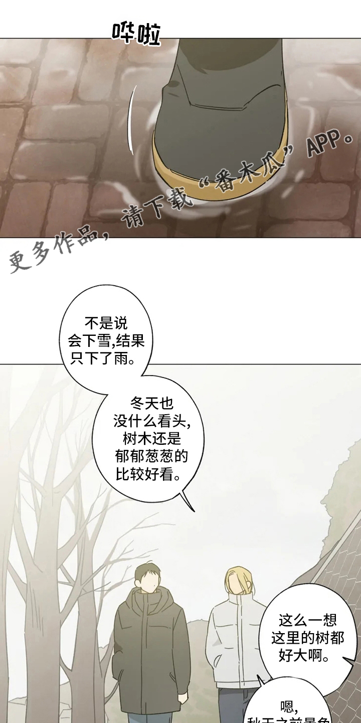 焦点视线漫画,第103章：情侣戒1图