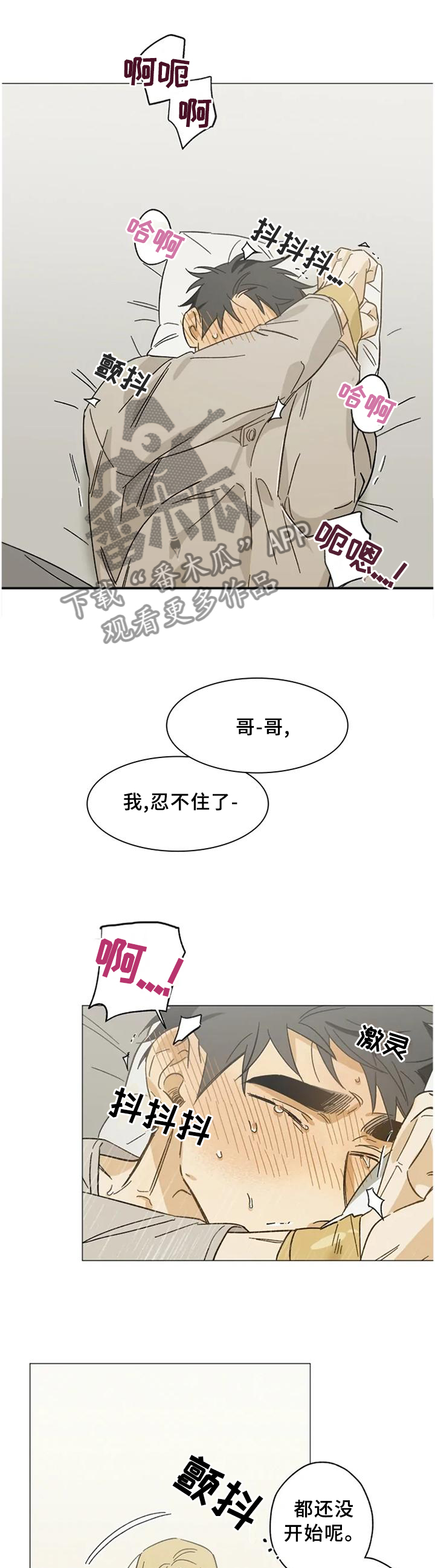 焦点视线漫画,第62章：打开了开关1图