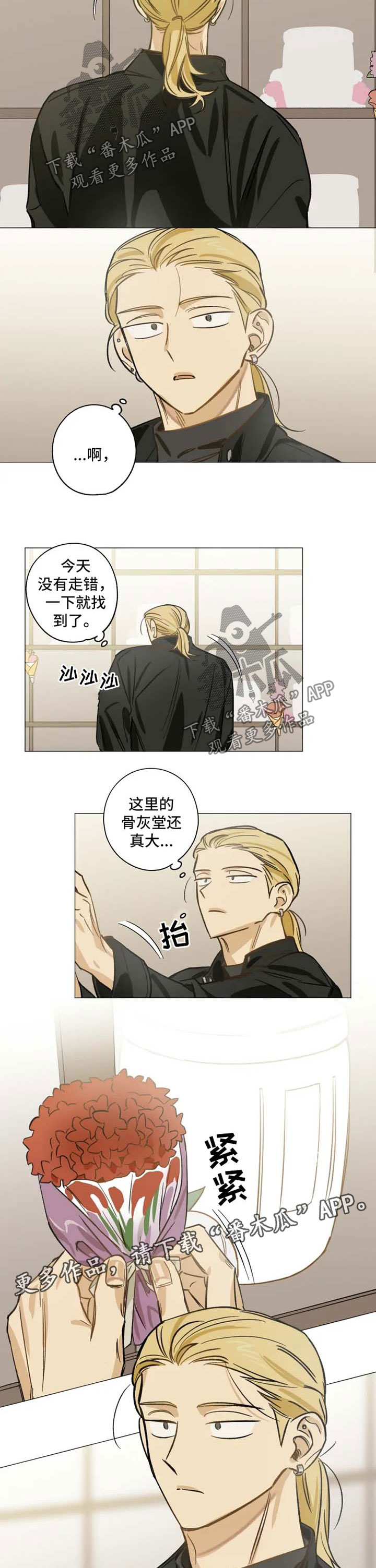 焦点视线漫画,第31章：墓地4图