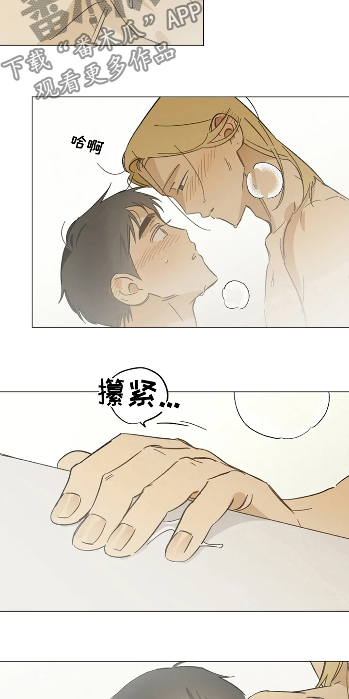 焦点视线漫画,第104章：以后也请多多关照4图