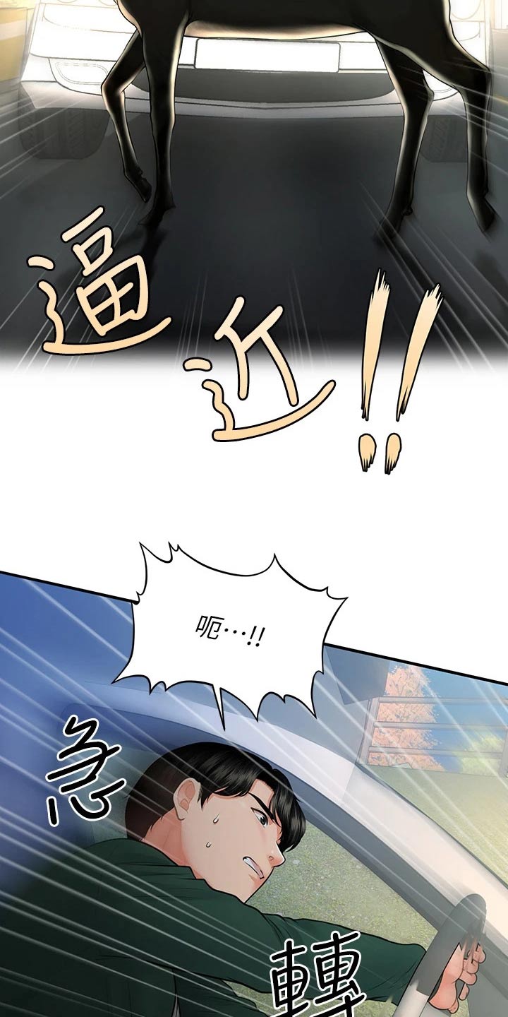 第132章：车祸0