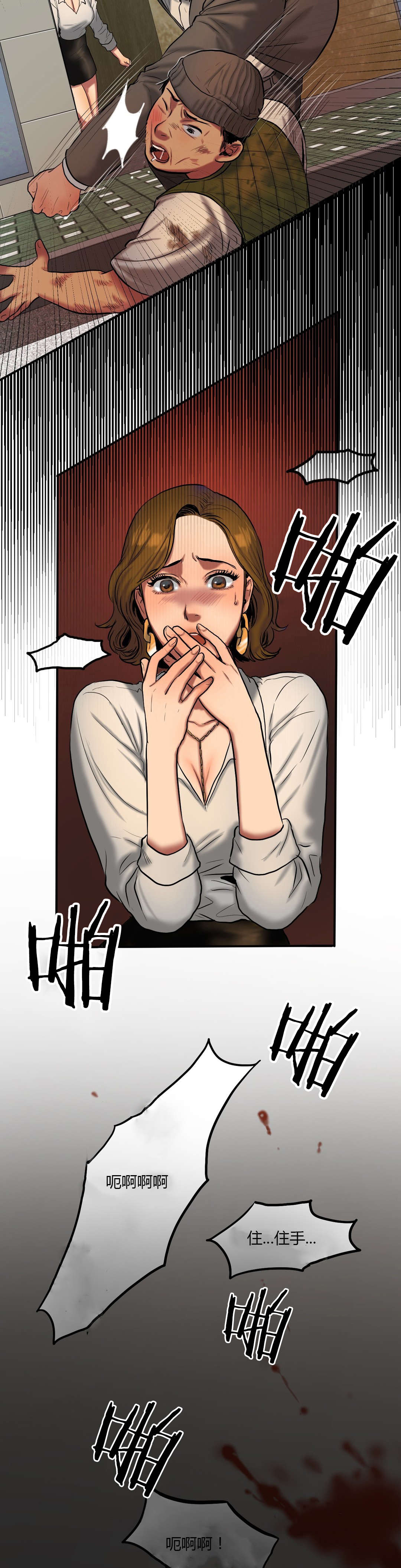 夫人的马甲又轰动全城了免费阅读漫画,第73章：商量遗产1图