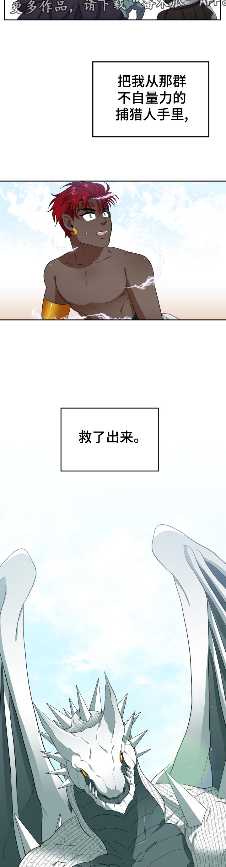 关于龙的玄学漫画,第50章：梦想4图
