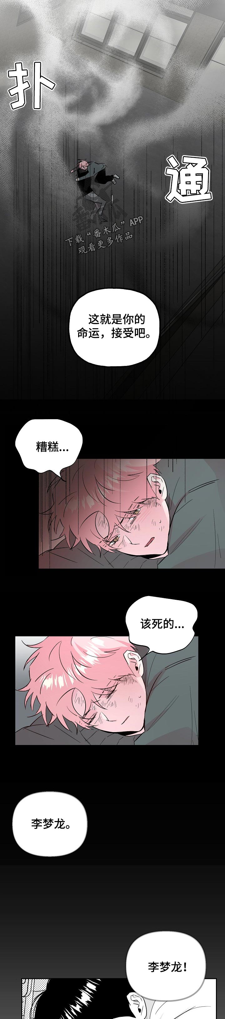 牵连漫画,第99章：【第二季】适合花的女人2图