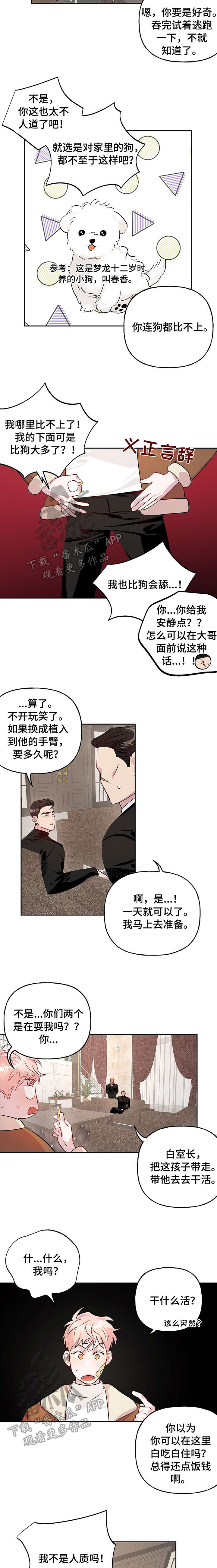 牵连漫画,第17章：追踪器5图