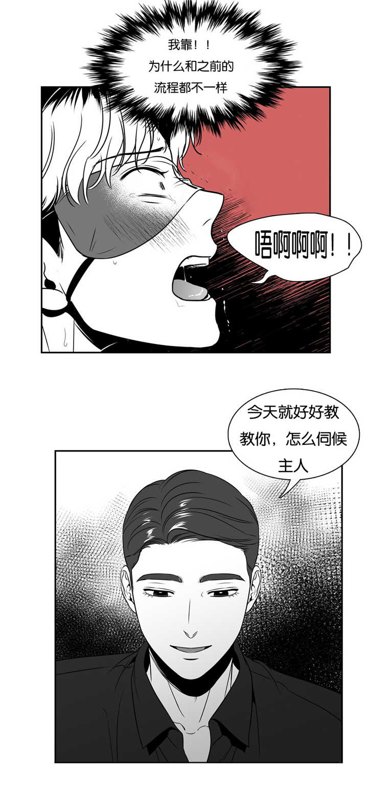 东播漫画,第66章：知道了吗3图