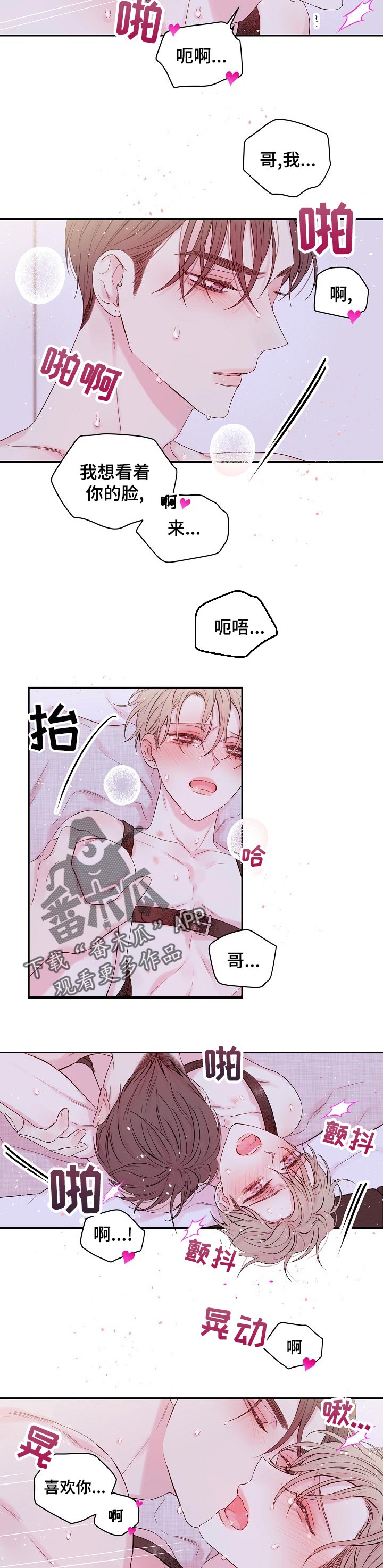 Hold住娱乐圈漫画,第41章：我爱你！1图