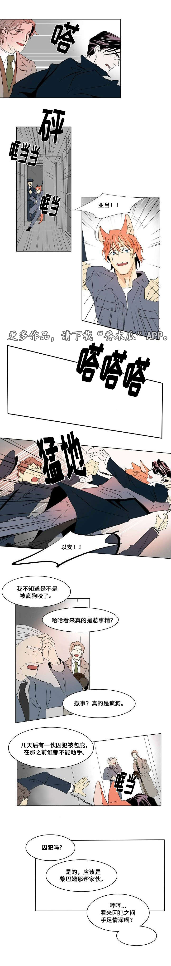 囚兵漫画,第26章：以安与亚当3图