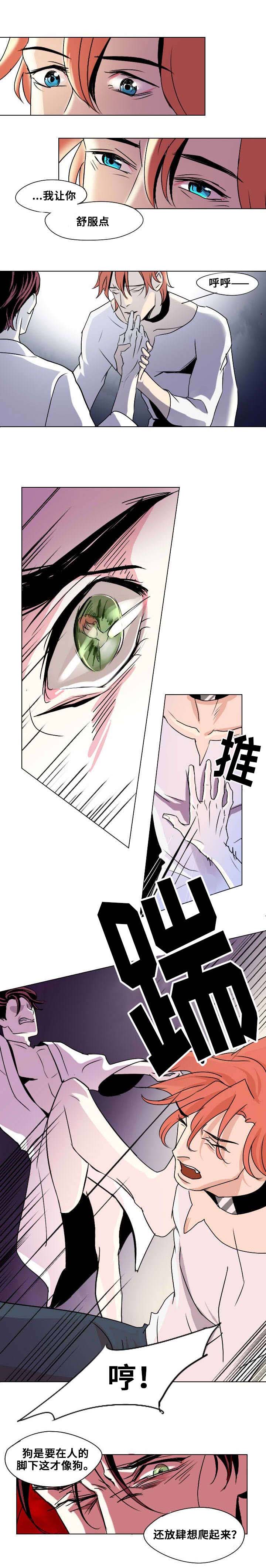 囚兵漫画,第2章：你是我的狗4图