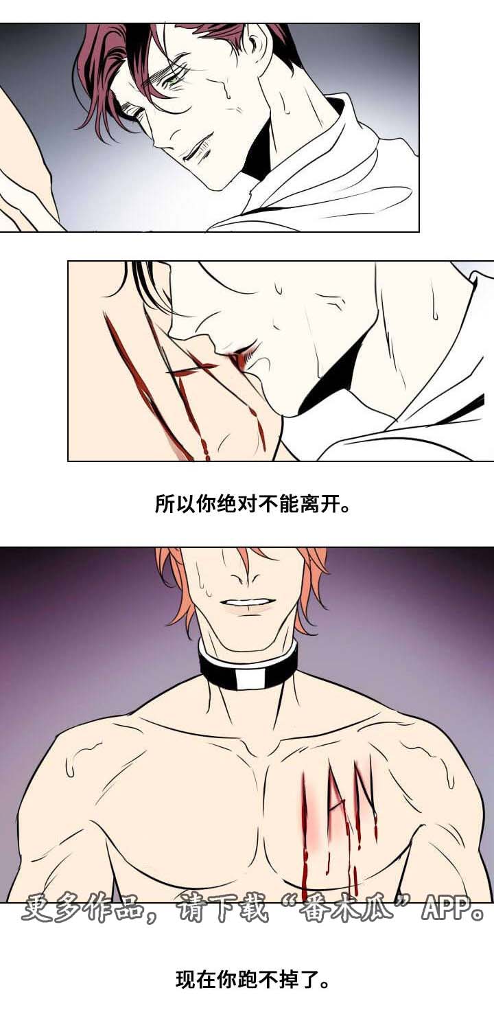 囚兵漫画,第20章：以安的刻印5图