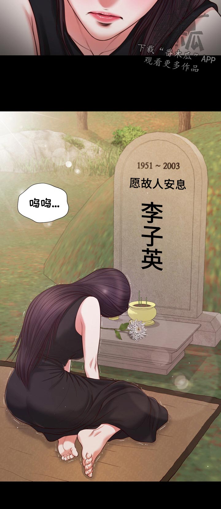 玉翡翠漫画,第85章：二夫人的参与2图