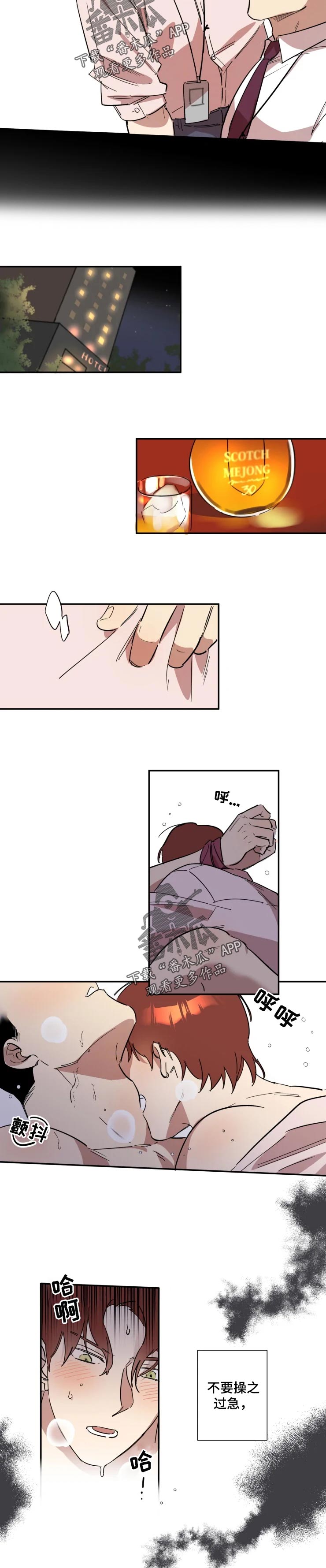 混蛋是什么意思漫画,第36章：喝酒2图