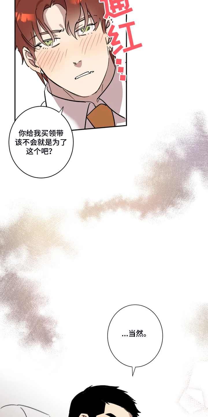 混蛋帅哥漫画,第53章：【完结】领带的作用3图