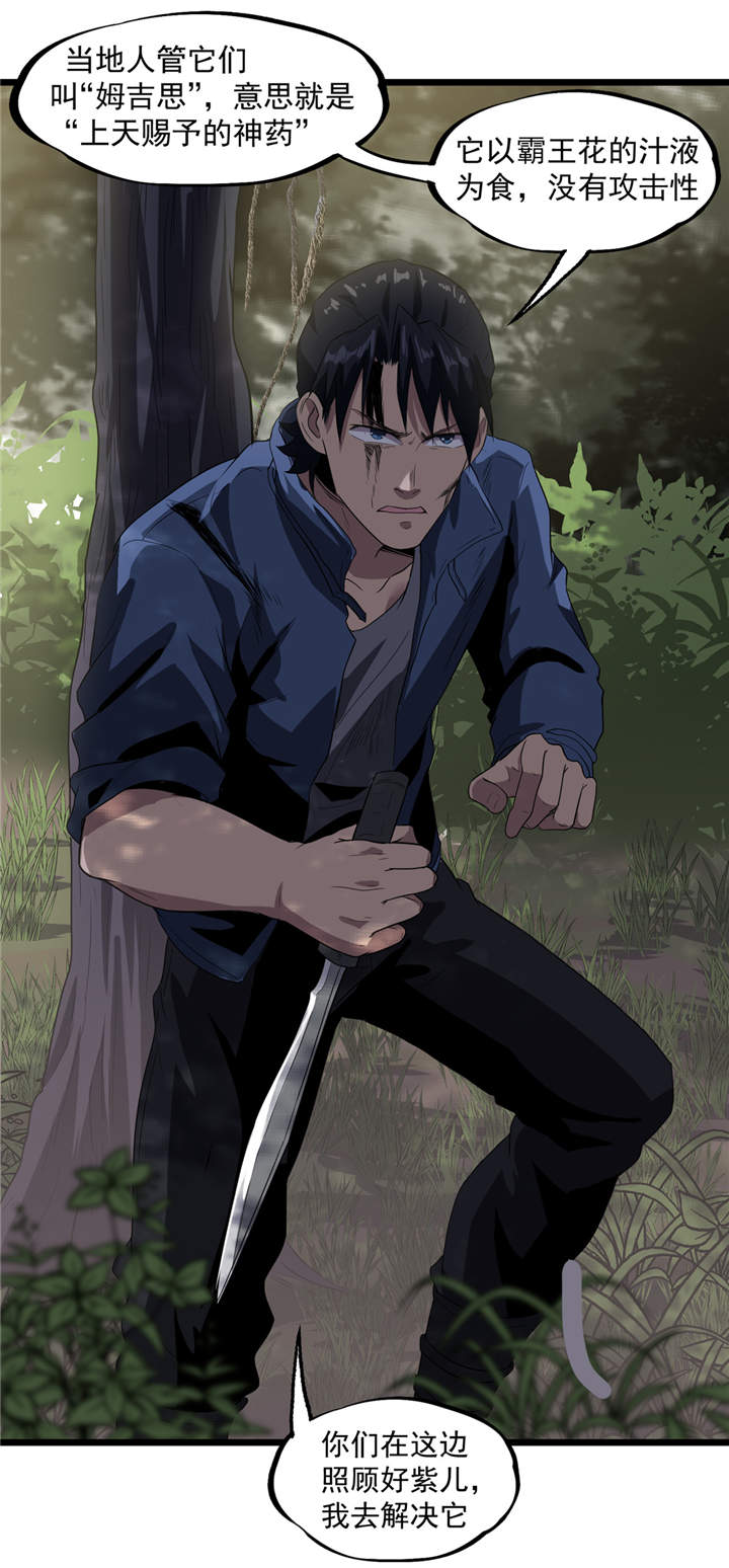 虫二漫画,第39章：蓝色蜗牛2图