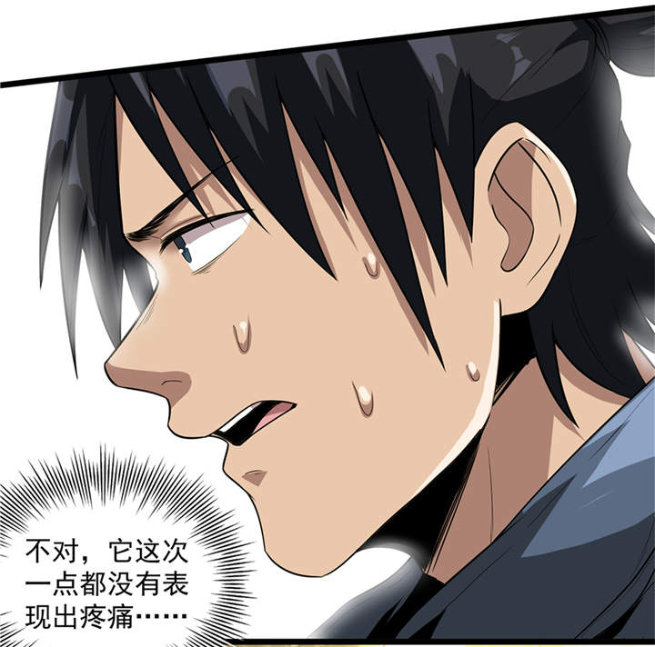 虫草的功效和作用漫画,第45章：出现了！1图