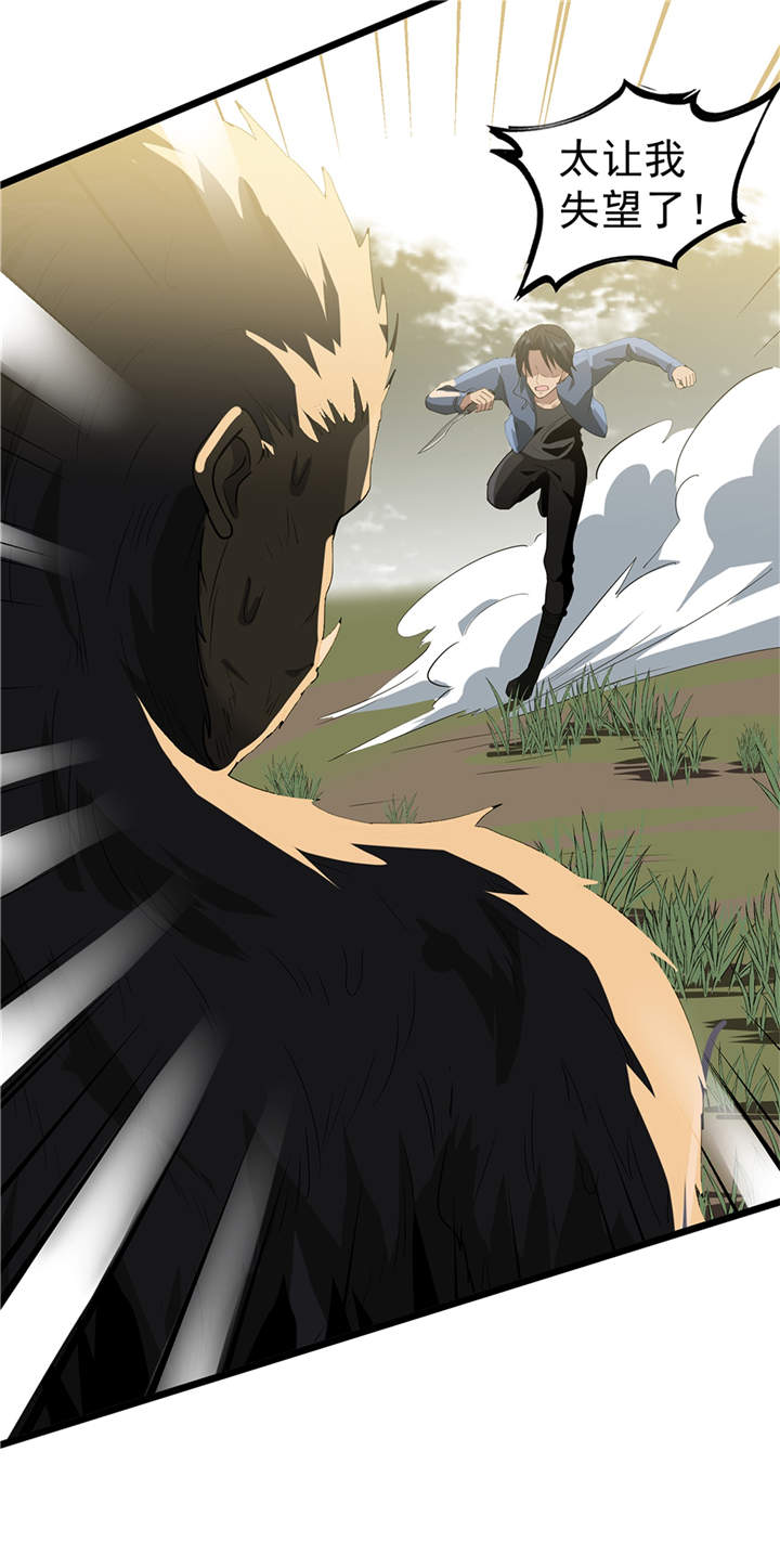 虫草的功效和作用漫画,第45章：出现了！1图