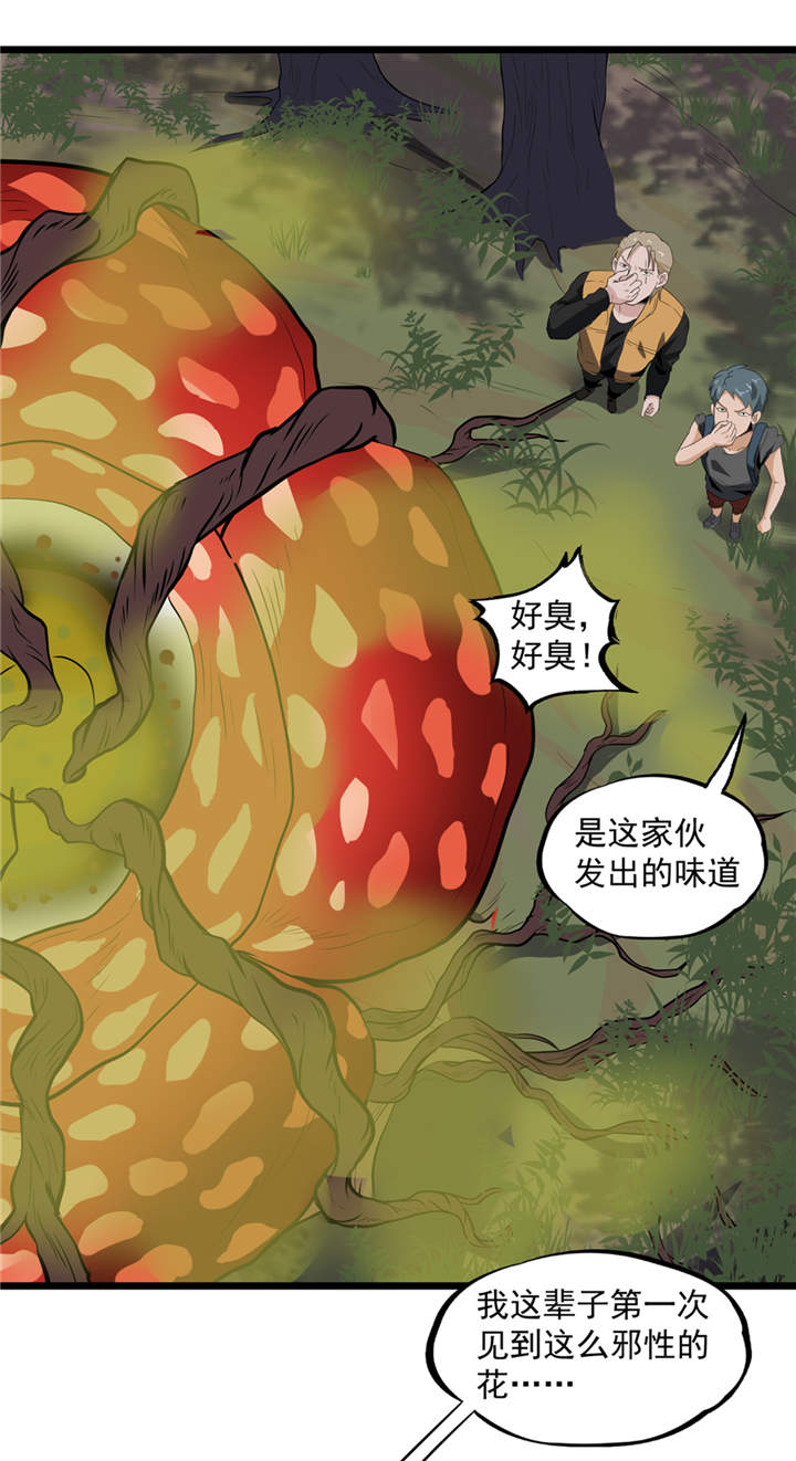 虫儿飞儿歌视频漫画,第39章：蓝色蜗牛2图