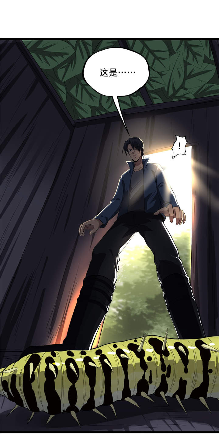 虫岭怪谈有声小说漫画,第48章：天烙蠕虫2图