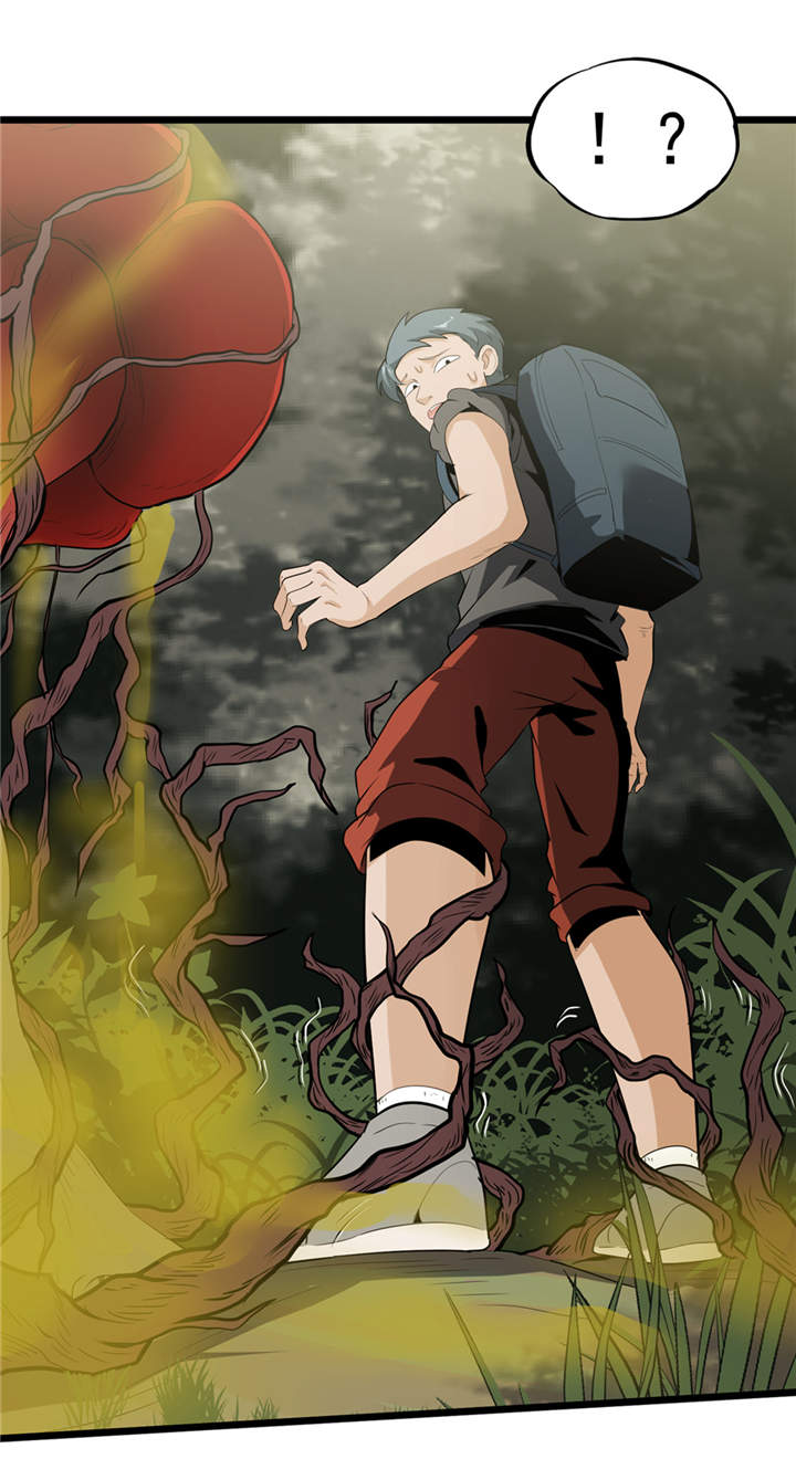 虫儿飞儿歌视频漫画,第39章：蓝色蜗牛4图