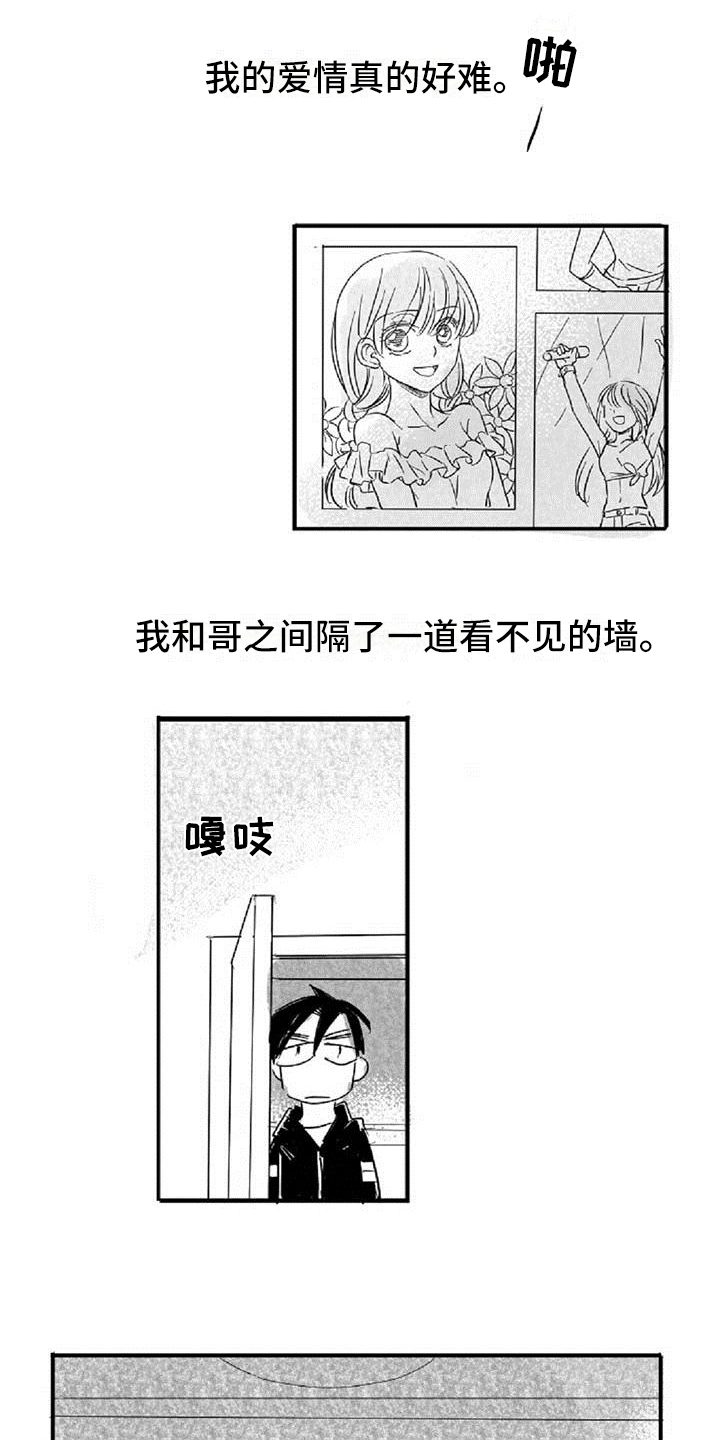 爱上偶像宅漫画,第2章：差异3图