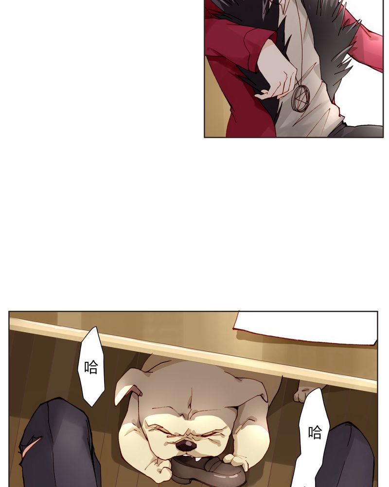 重生之星光璀灿漫画,第12章：最终人选5图