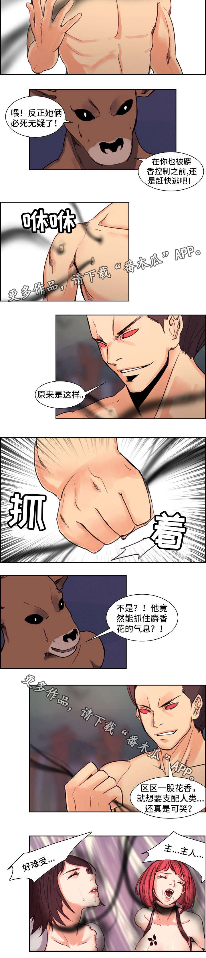 战神樵夫漫画,第16章：麝香花5图
