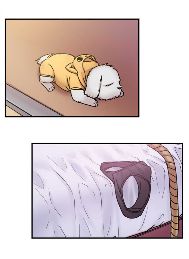 缆绳漫画,第15章：试验5图