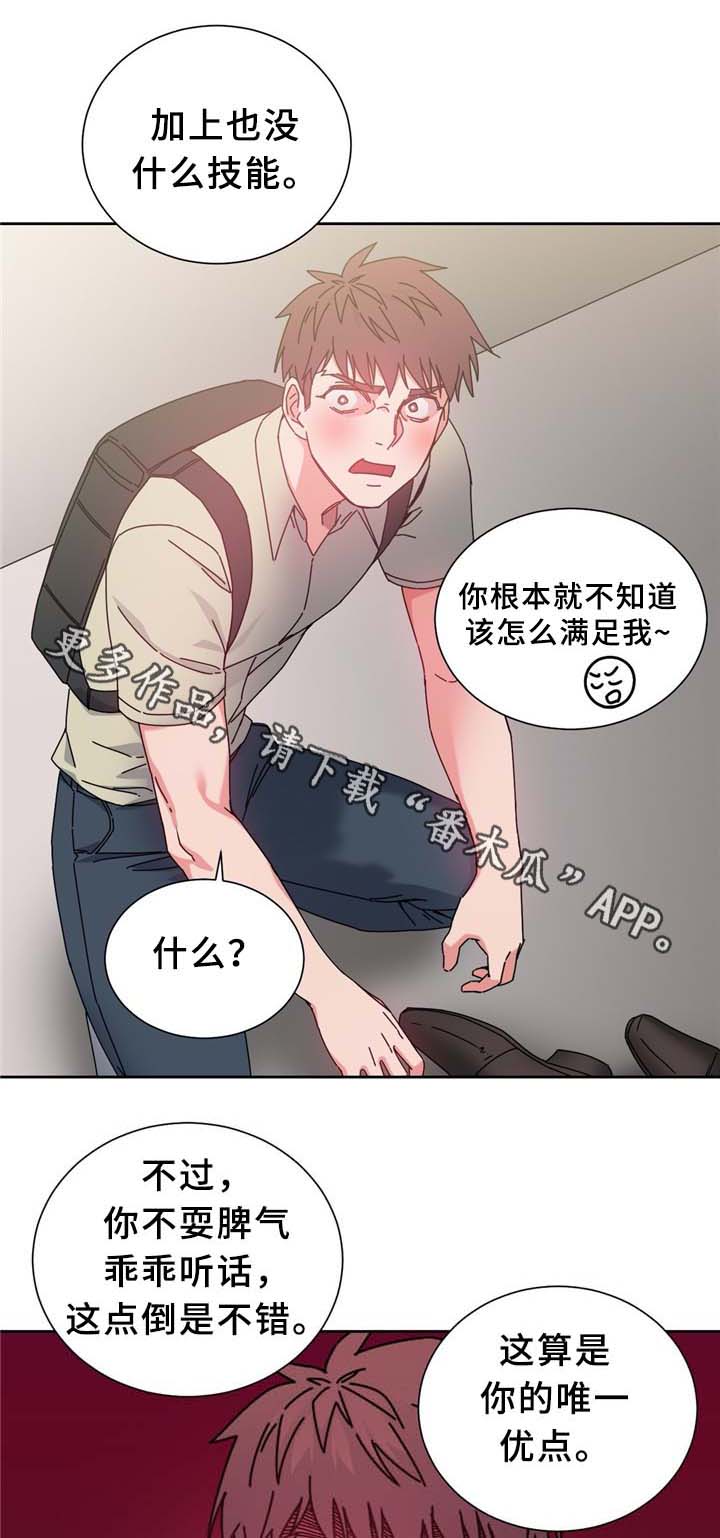 缆绳直径每米多重漫画,第74章：南根吗?!5图