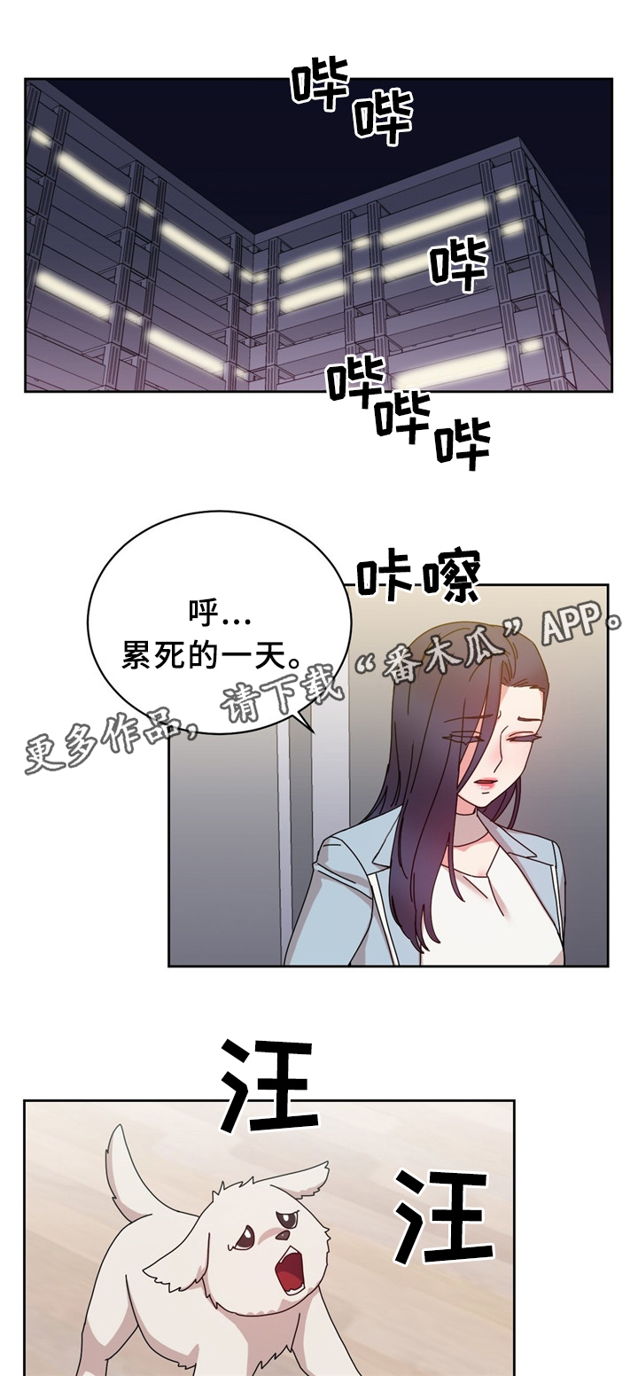 缆绳用耐磨水性聚氨酯涂层材料漫画,第63章：累死的一天2图