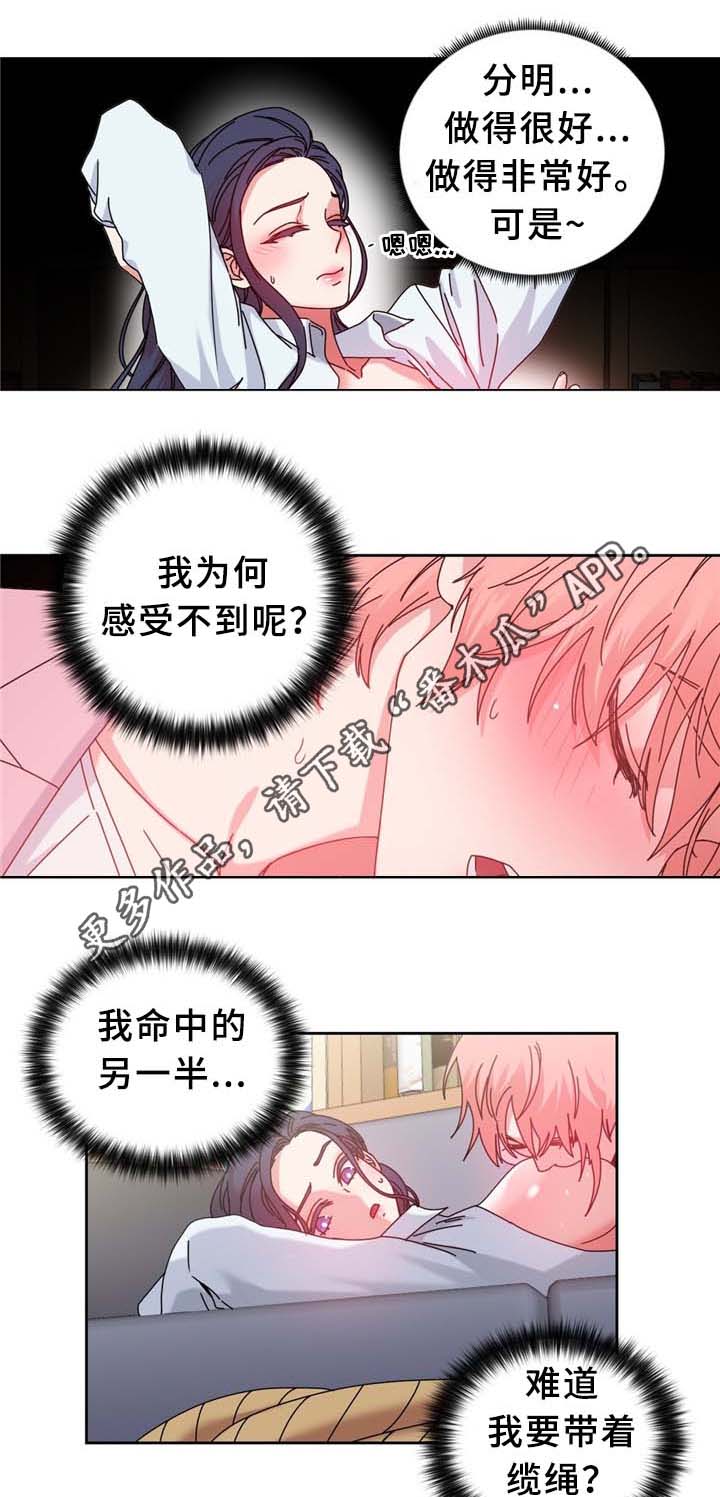 缆绳漫画,第68章：命中的安排3图