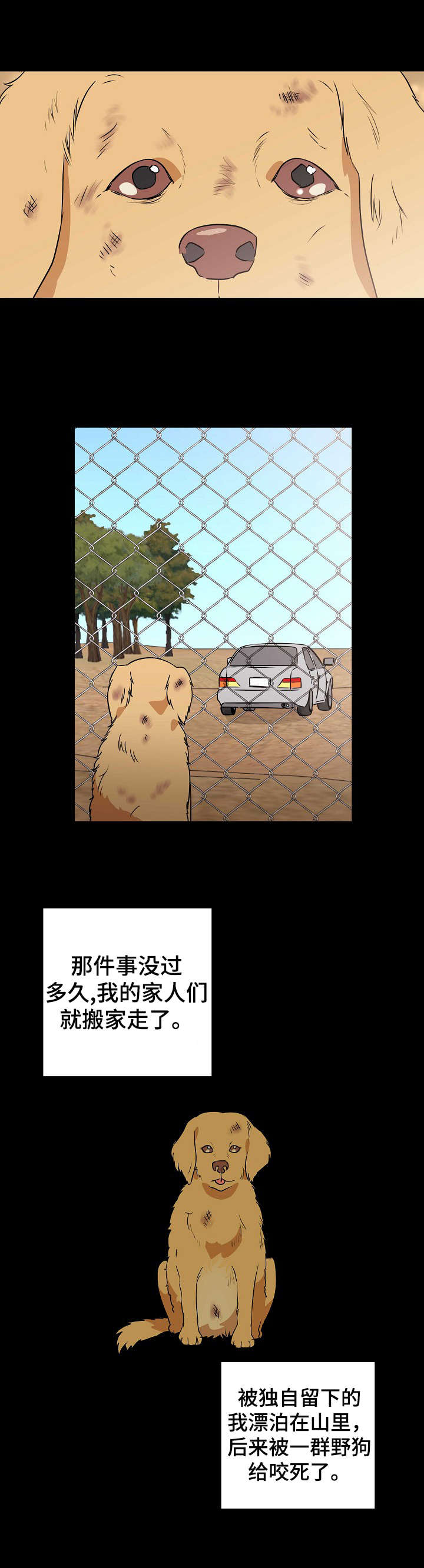 天堂门票漫画,第19章：流浪狗2图