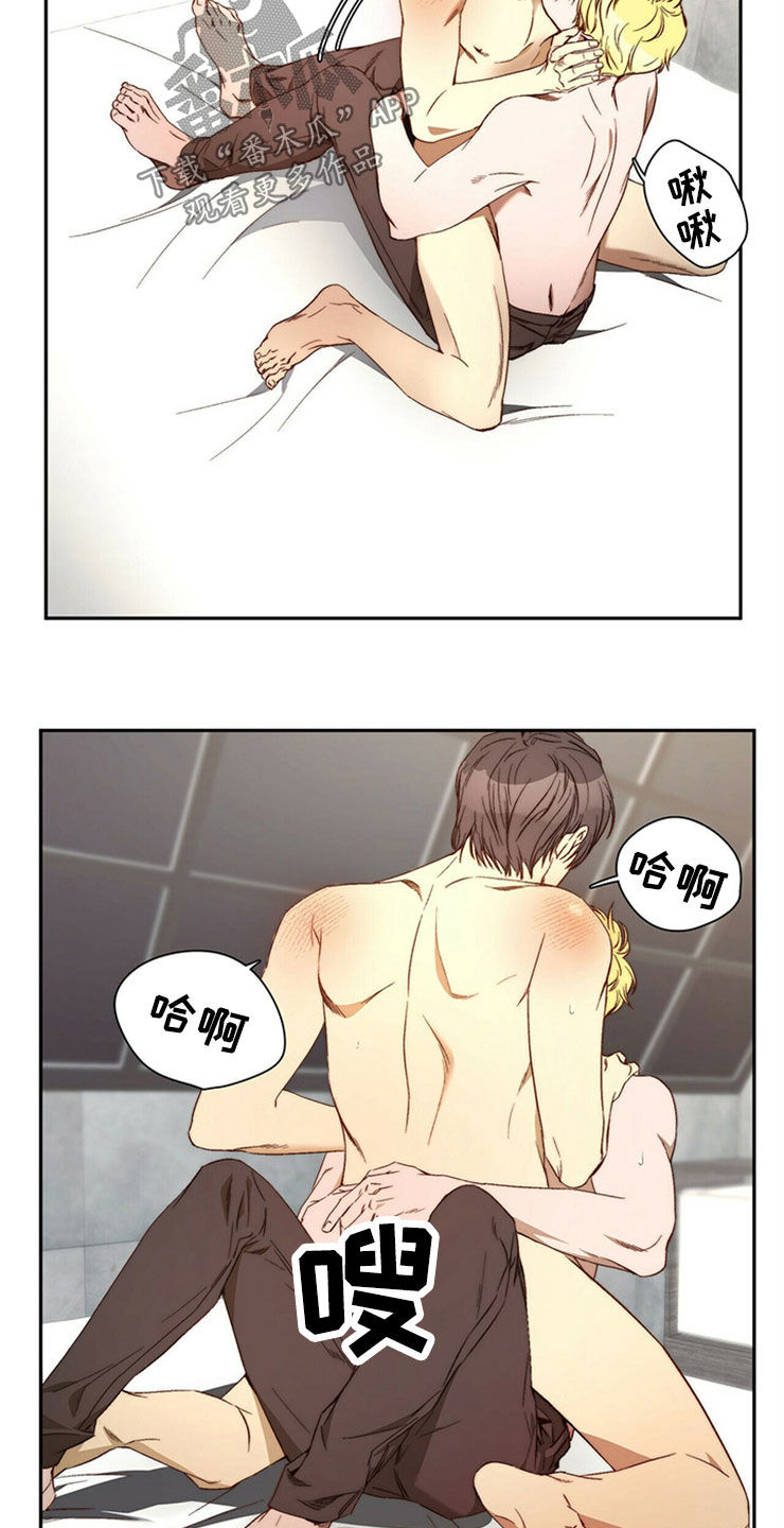 钻石神偷漫画,第29章：够了3图