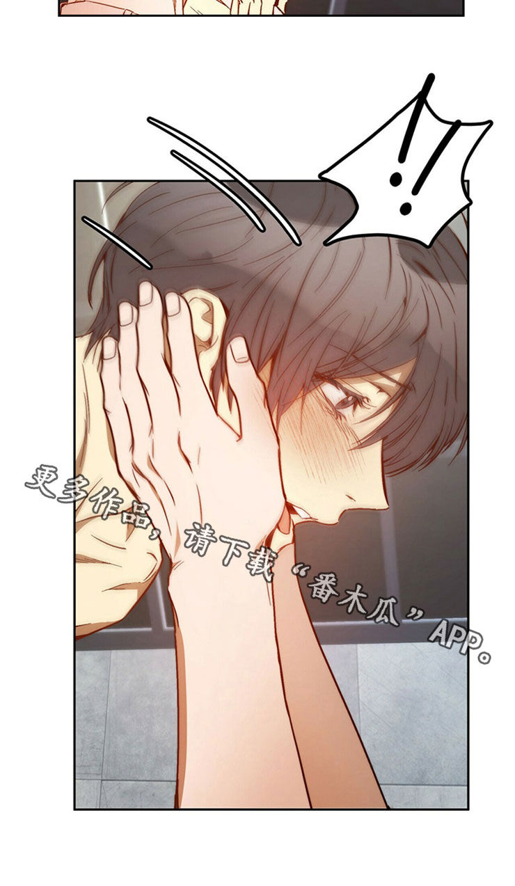 钻石神偷漫画,第29章：够了2图