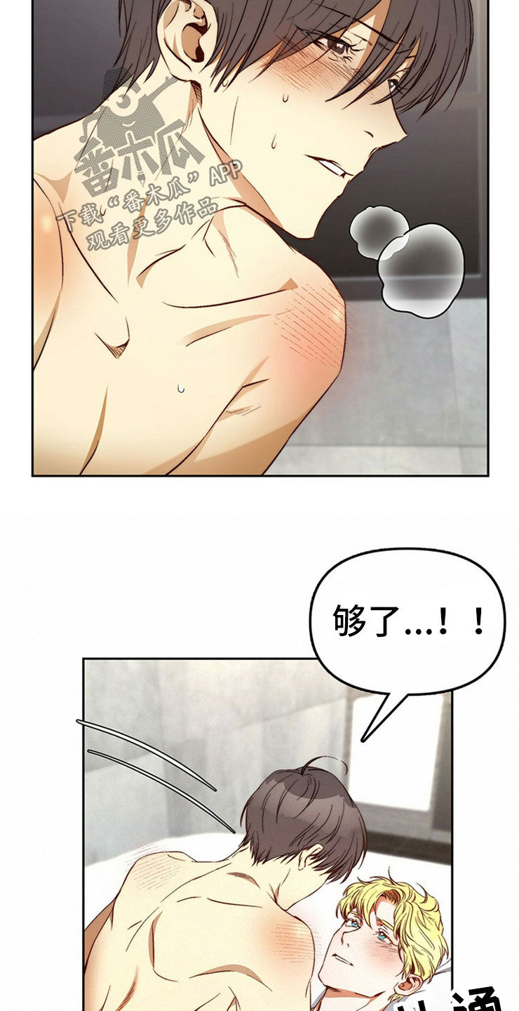 钻石神偷漫画,第29章：够了1图