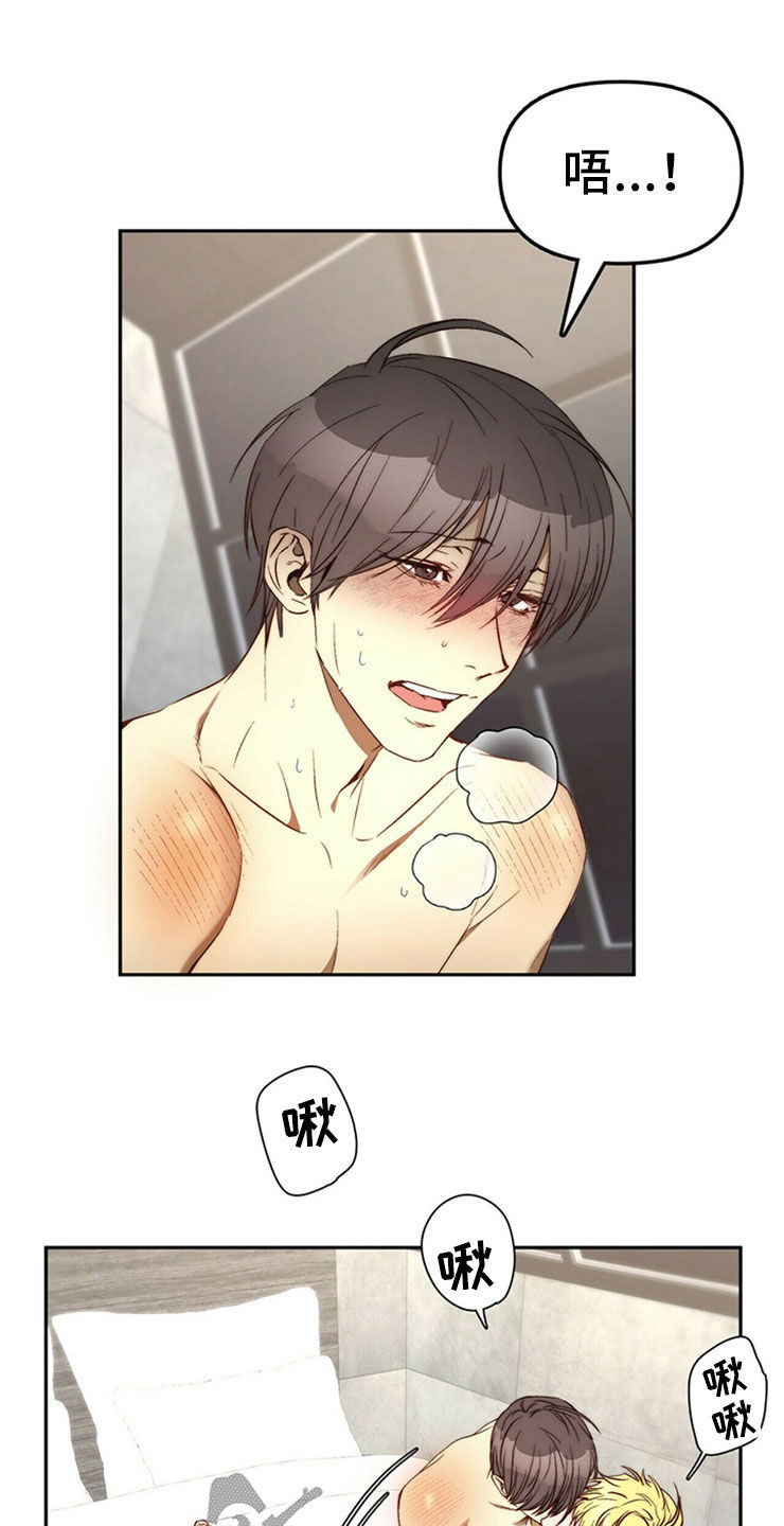 钻石神偷漫画,第29章：够了2图