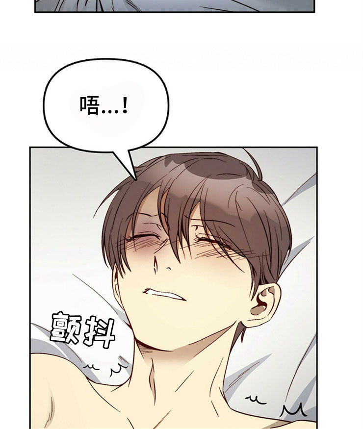 钻石神偷电影详情漫画,第29章：够了1图