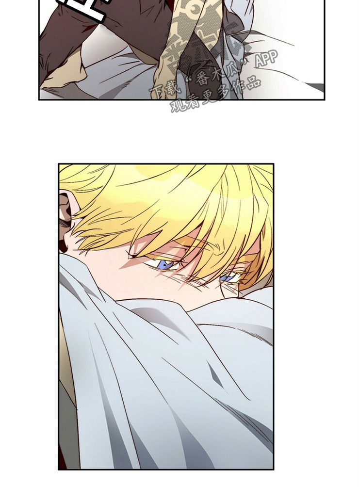 钻石神偷漫画,第29章：够了1图