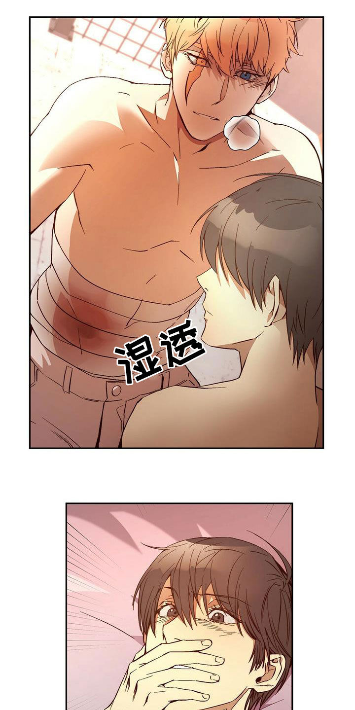 钻石神偷漫画,第17章：晕倒5图