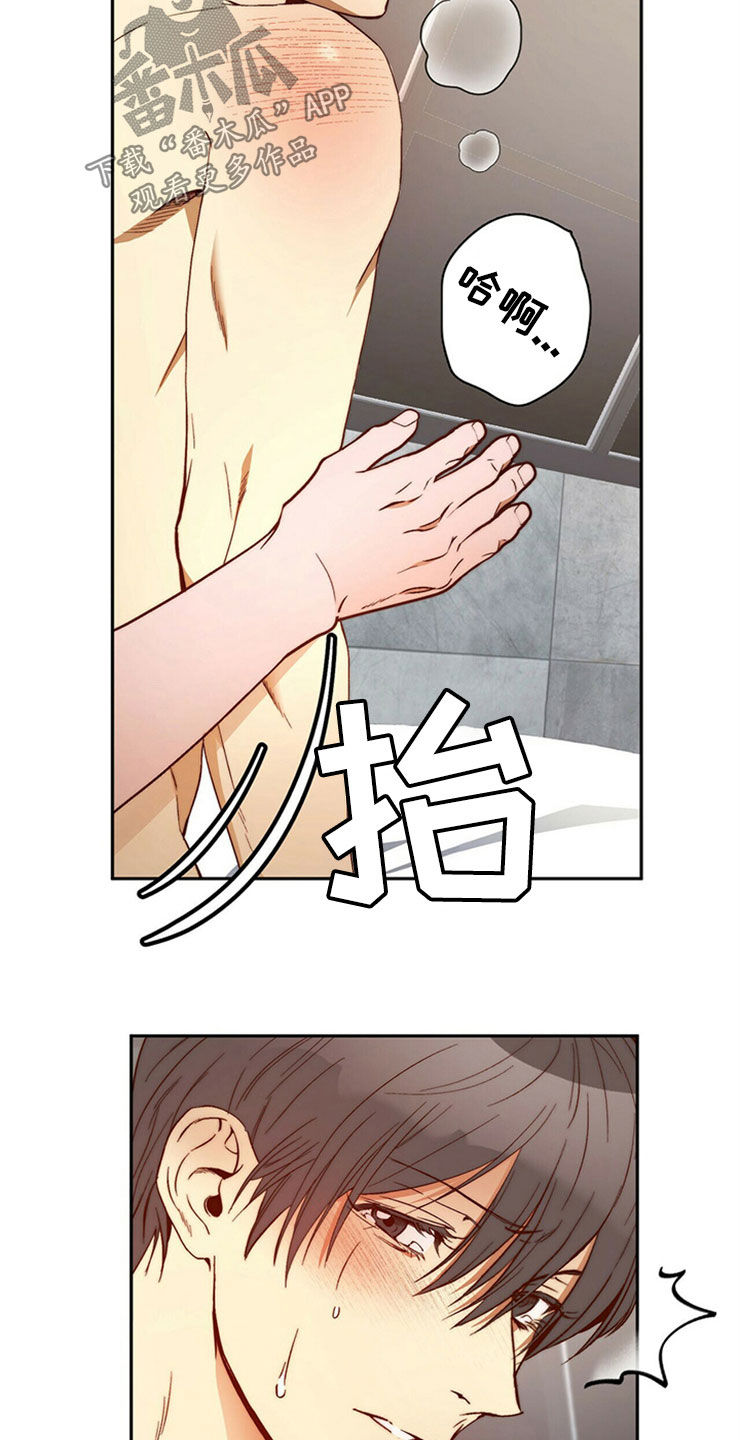 钻石神偷漫画,第29章：够了4图