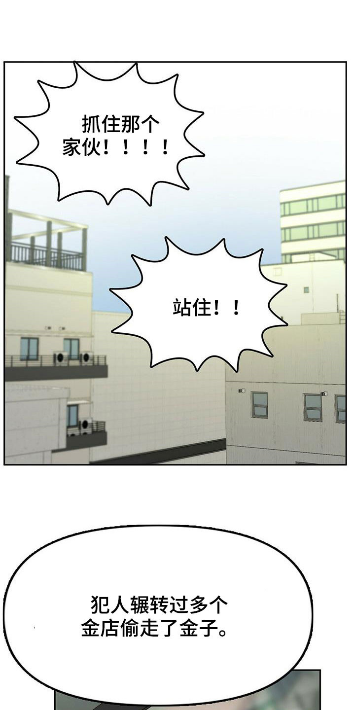 钻石神偷案最终结局漫画,第44章：安稳人生5图