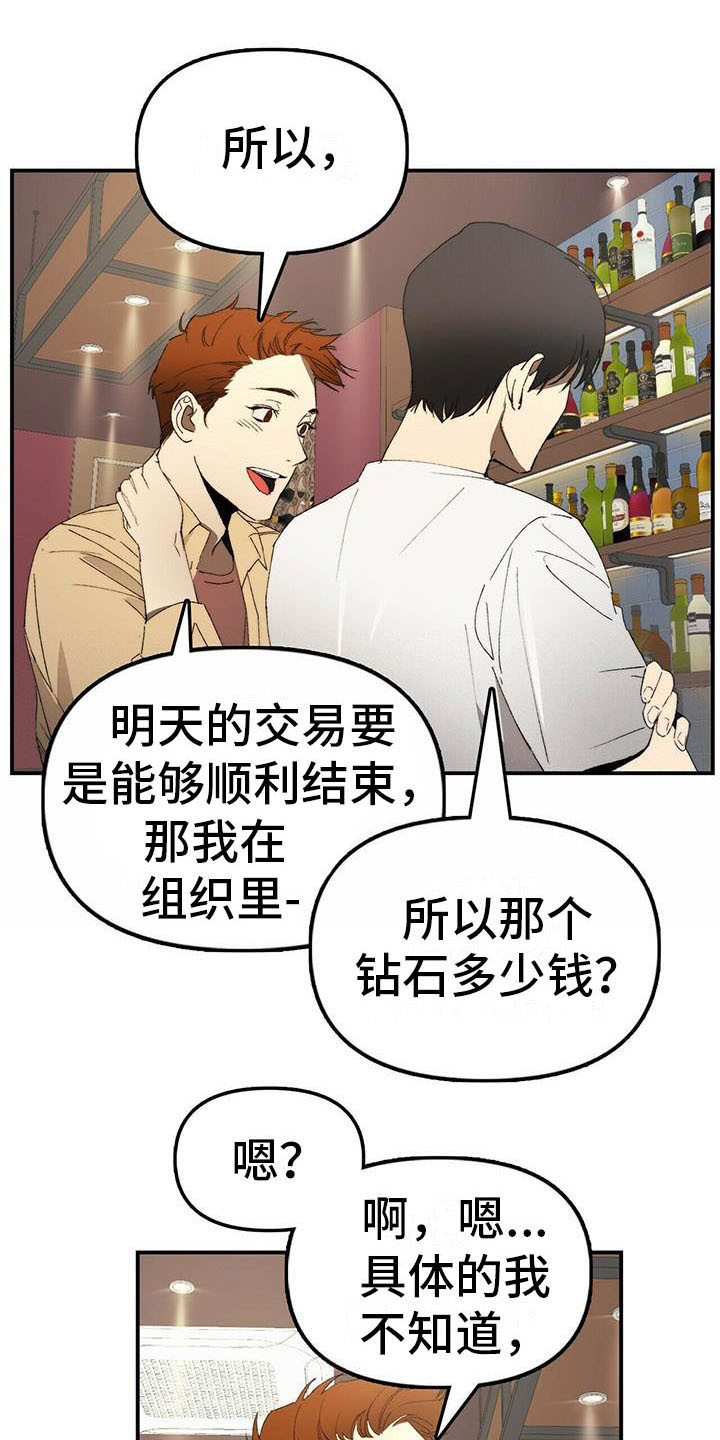 钻石神偷案盗贼身份漫画,第2章：条件4图
