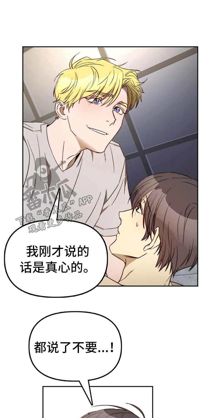 钻石神偷电影详情漫画,第29章：够了4图