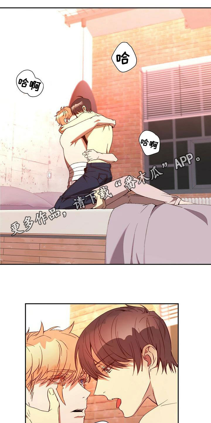 钻石神偷漫画,第17章：晕倒1图