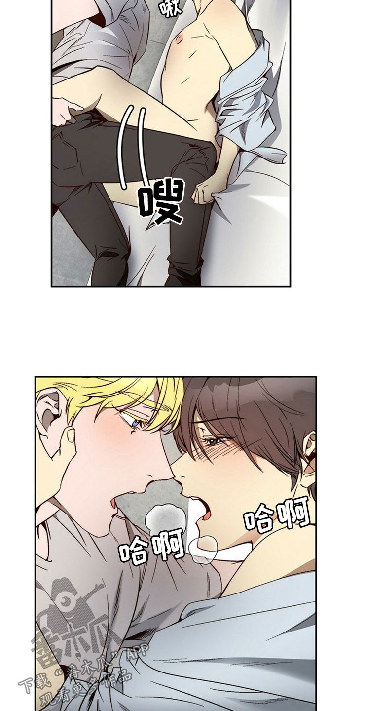 钻石神偷漫画,第29章：够了5图