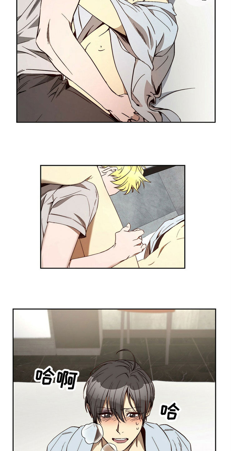 钻石神偷漫画,第29章：够了3图