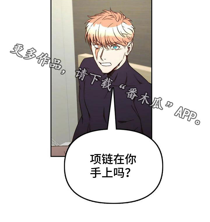 神偷钻石的视频漫画,第34章：巧合5图