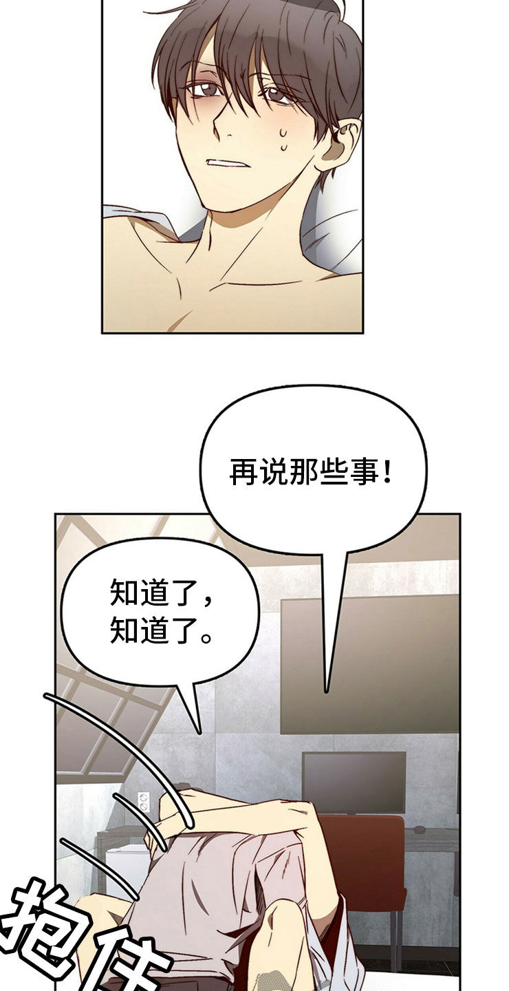钻石神偷电影详情漫画,第29章：够了5图