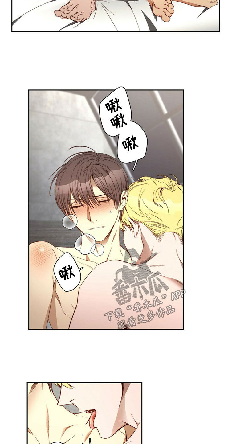 钻石神偷漫画,第29章：够了4图